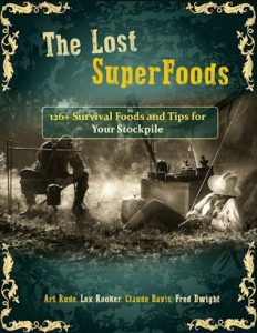 Image of the lost superfood survival book