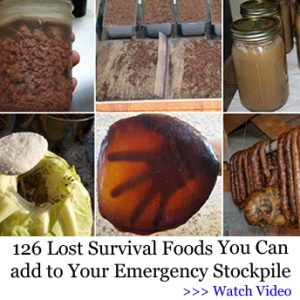 Image of 126 survival foods of The Lost SuperFoods book
